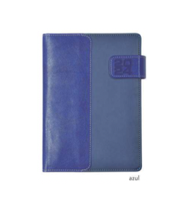 AGENDA AURA