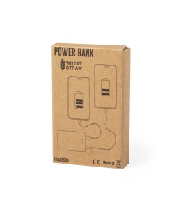 Power Bank Shiden