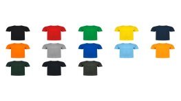 CAMISETA ALGODÓN 160GR. ADULTO COLOR