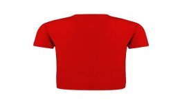 CAMISETA ALGODÓN 160GR. ADULTO COLOR