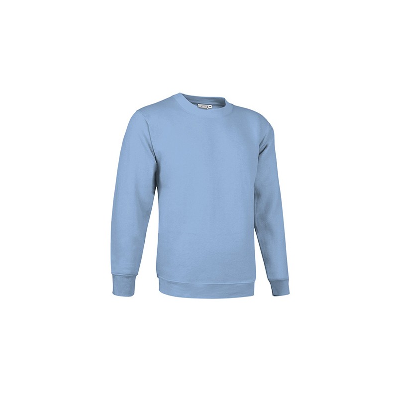 Sudadera Dublin 300 grs.