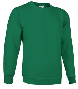 Sudadera Dublin 300 grs.