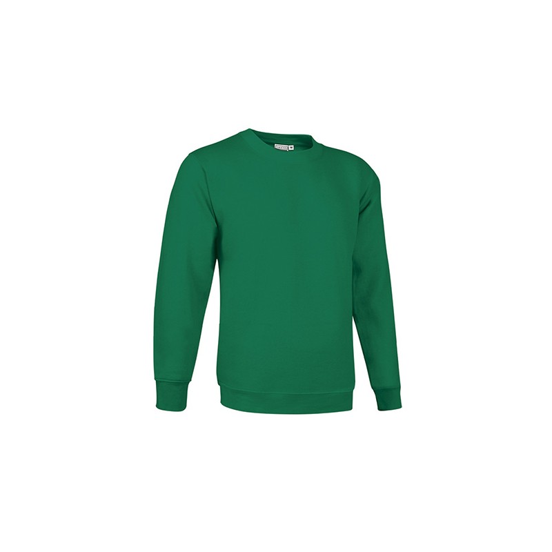 Sudadera Dublin 300 grs.