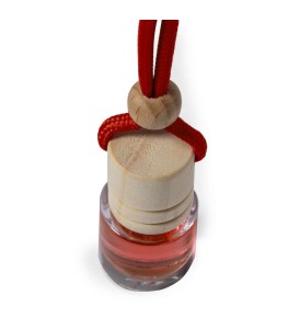 OFERTA 124/25: AMBIENTADOR PARA COCHE