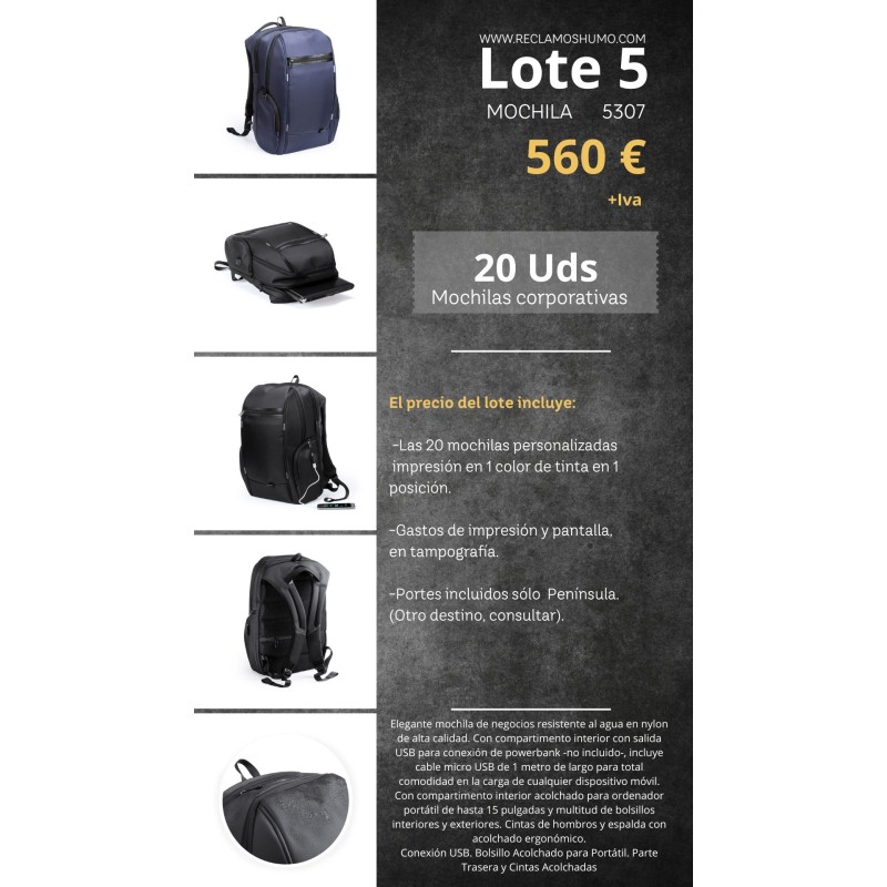 LOTE 5: MOCHILA EJECUTIVA