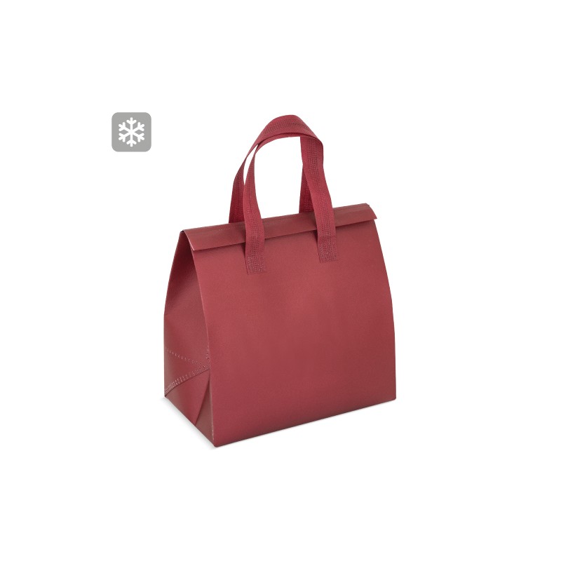 BOLSA CONSERVADORA DE FRIO