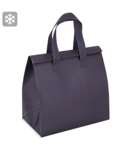 BOLSA CONSERVADORA DE FRIO