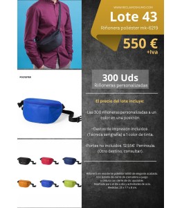 LOTE 43: RIÑONERA POLIESTER