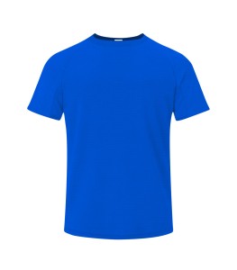 LOTE 46: CAMISETAS TECNICAS