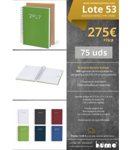 LOTE 53: AGENDA WIREO A5