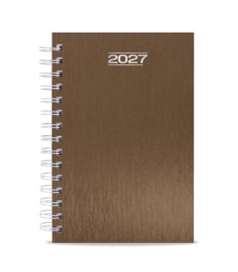 AGENDA ANILLA METALIZADA RAKI