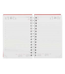 AGENDA ANILLA METALIZADA RAKI